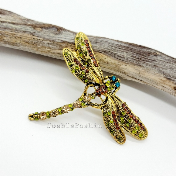 JoshisPoshin Jewelry - Large dragonfly crystal brooch pin